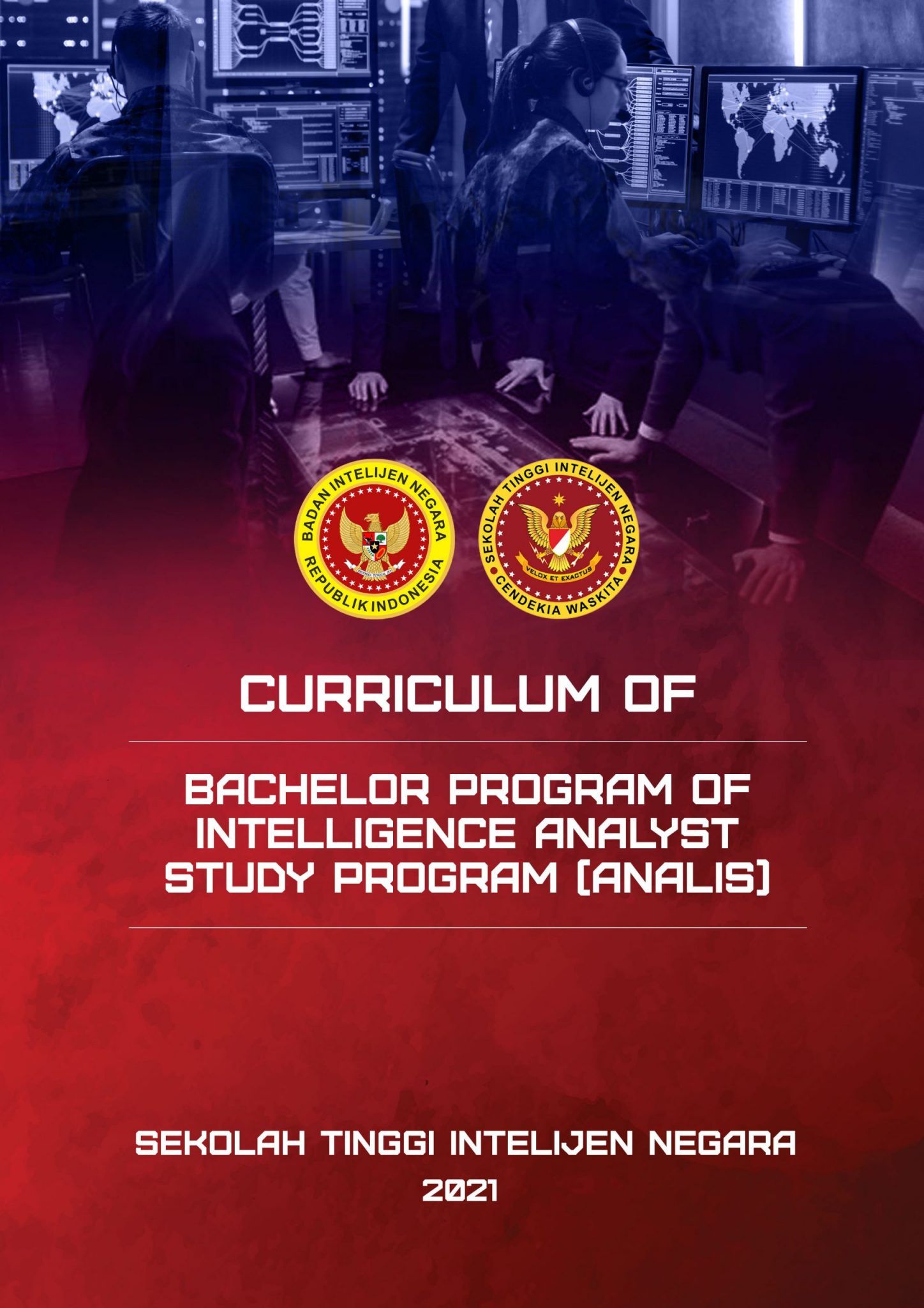 CURRICULUM-ACQUIN-PRODI-ANALIS-scaled-1-1448x2048.jpg